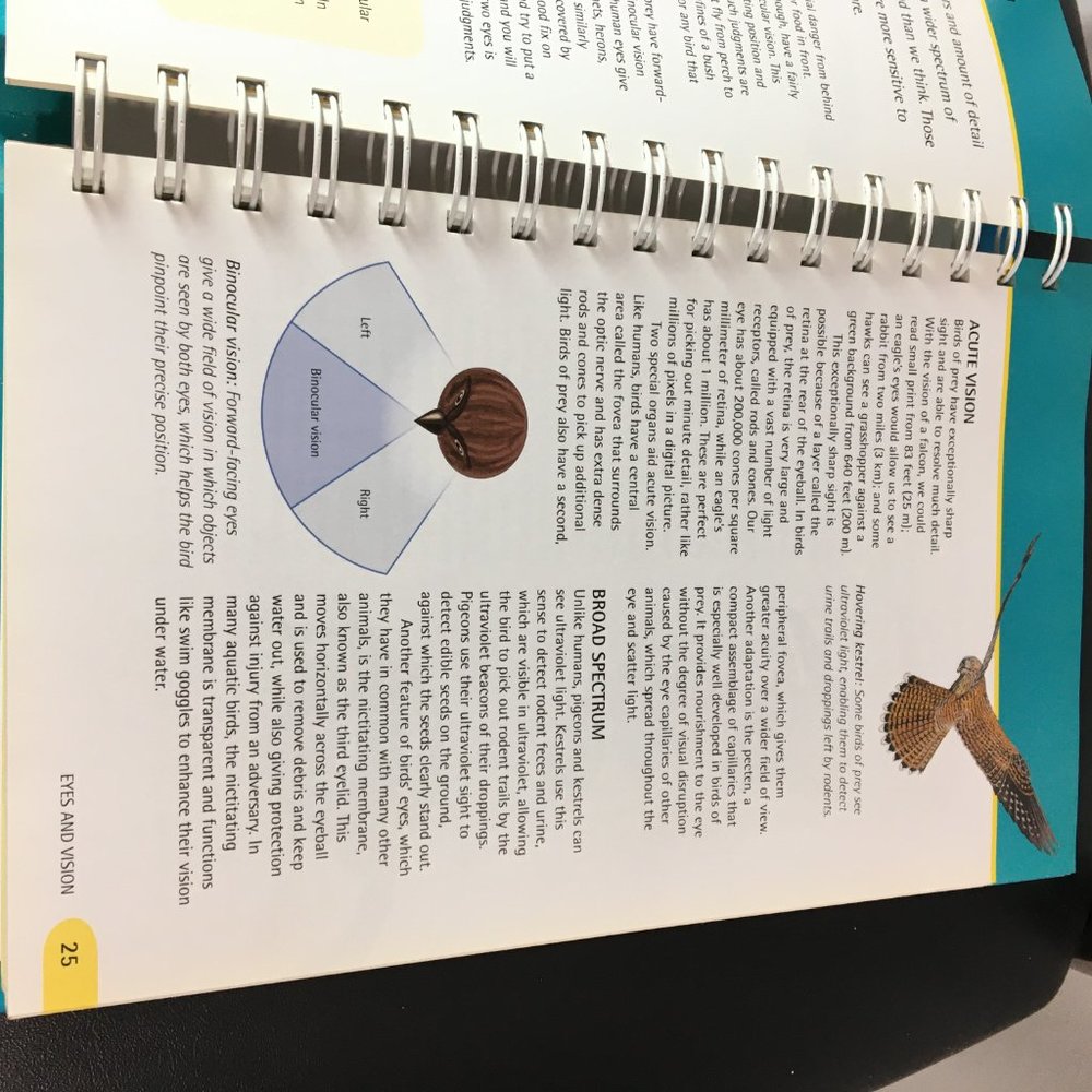 Backyard Bird Tracker : logbook notes illustrated - Picture 7 of 12